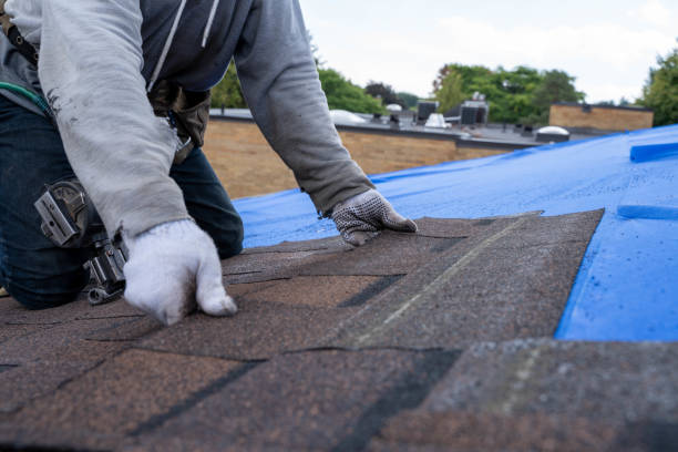 Best Flat Roof Repair Services  in Moyock, NC