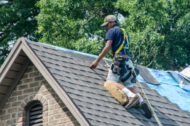 Professional Roofing Contractor in Moyock, NC